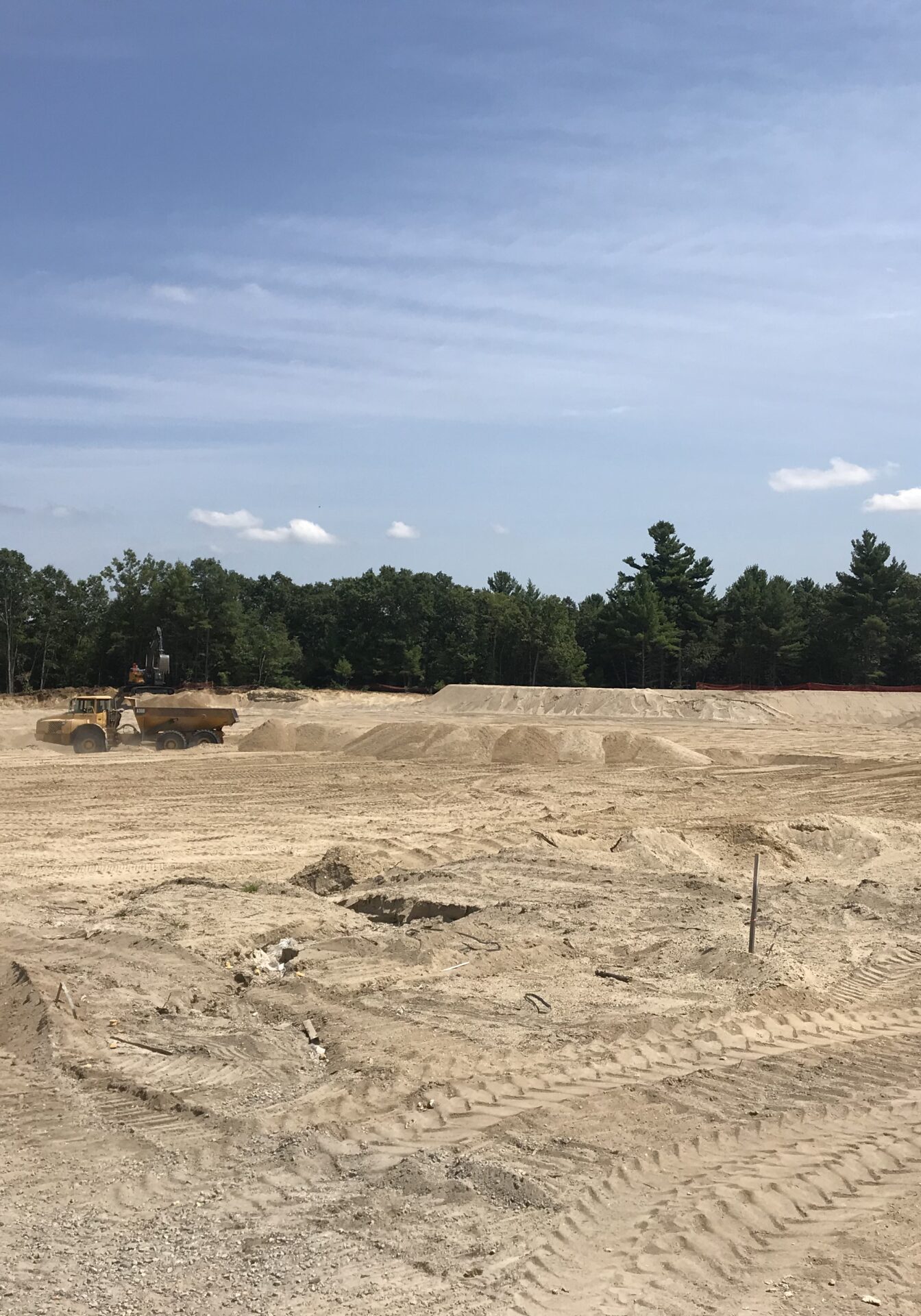 20190816_165044386_iOS